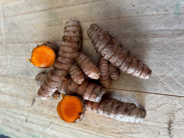 curcuma frais