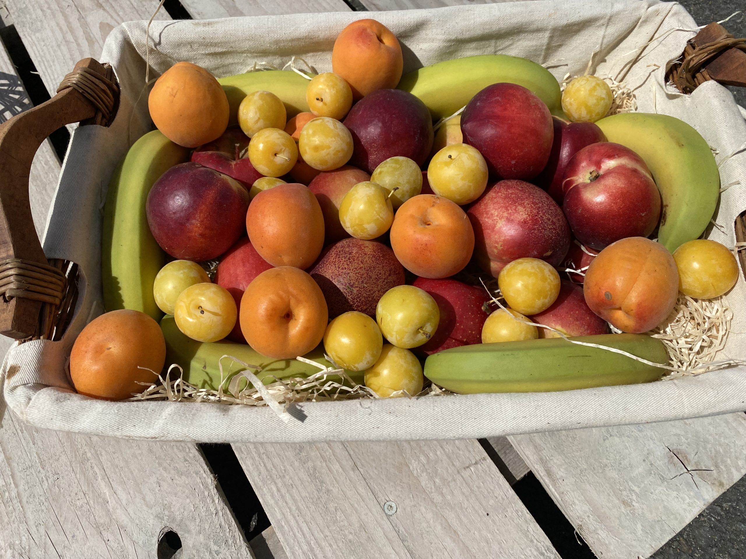 Corbeille de fruits à offrir