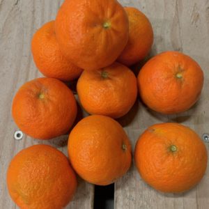 mandarine espagne