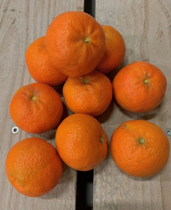 mandarine espagne
