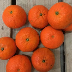 mandarine maroc