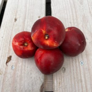NECTARINE JAUNE