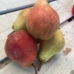 poire william