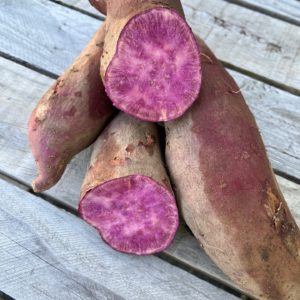 patate douce sakura