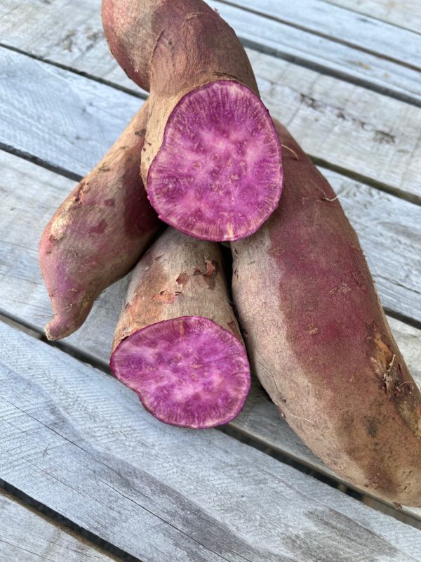 patate douce sakura